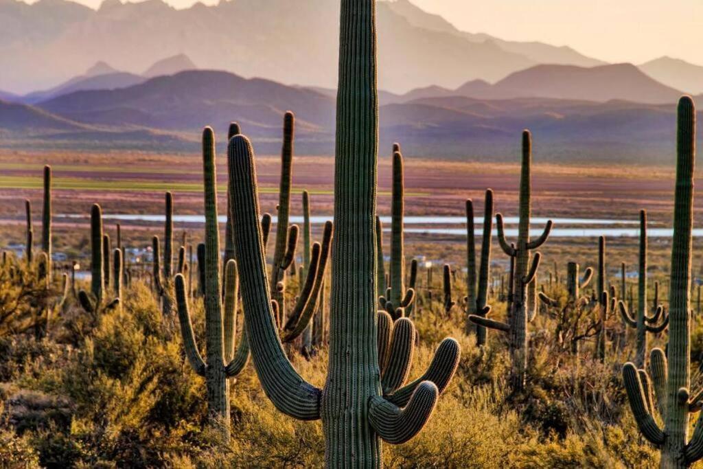 Tucson The Greens! 3Br Apt W/ Pool & Spa 外观 照片